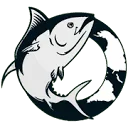 Spear America Coupon Codes